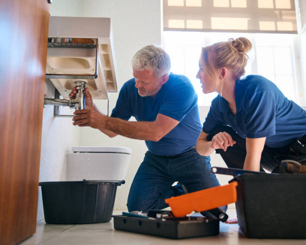 Best Sprinkler Systems  in Lake Elmo, MN